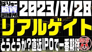 リアルゲイト、ストレージ王、パルマ、トラースOP、関通など個別と日経の状態確認、です。