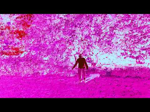 Will Heard - Don't Give Up On Love (Video)