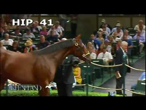 Hip 41 - 2012 September Yearling Sale