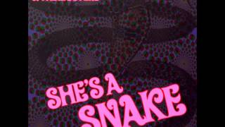 Ziggy Zigford & The Zigsters - She's A Snake