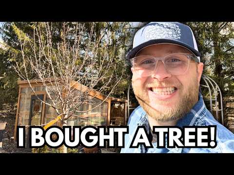 The Garden Center Is BACK! 🌸 I Bought a Tree (and More!)