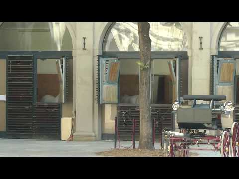scenes from Spanish Riding School Lippizaner Stables in Vienna, Austria