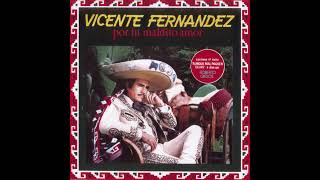 Vicente Fernández - Por Tu Maldito Amor (Cover Audio)