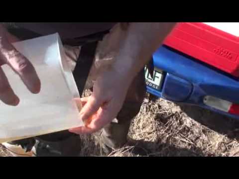 Roisu crayfishing with ken. US