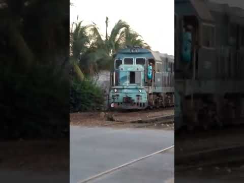 Loco TGM8K 38033 with loads for CAI Siboney through Camaguey Talleres while 52517 shunts the yard!