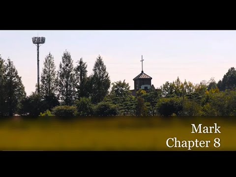 The Book of Mark Chapter 8 - Good News Translation (GNT) - Audio Bible