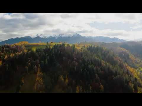 Proprietate autentica, stil traditional:Eco, cu parau pitoresc si vedere spectaculoasa, teren 900 mp — Video
