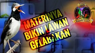 Download lagu MASTERAN Burung Full Materi Lengkap - Jalak Suren❗️Bikin Lawan Gelabakan mp3