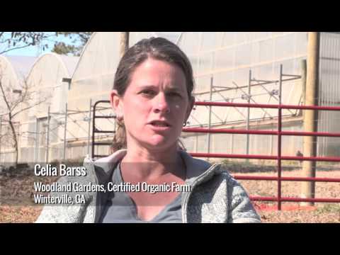 Organic Sound and Sensible Project - Roles of Certifiers Consultants