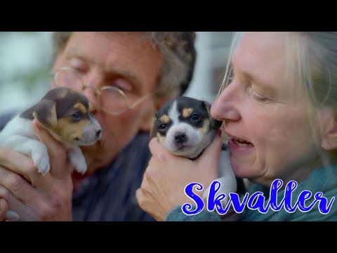 Så här såg Gustav Mandelmann ut för 31 år sen när han träffade Marie – bilderna visar