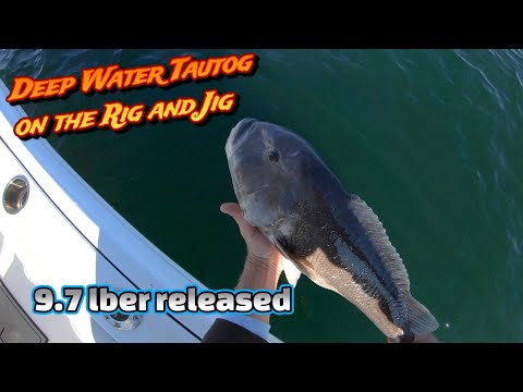 Deep water Tautog/Blackfish fishing with the Rig and Jig