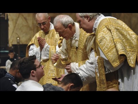 Only Priests Should Touch the Eucharist - Dr. Taylor Marshall Podcast