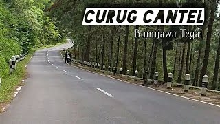 Download lagu CURUG CANTEL BUMIJAWA TEGAL #shorts mp3 Download lagu CURUG CANTEL BUMIJAWA TEGAL #shorts mp3
