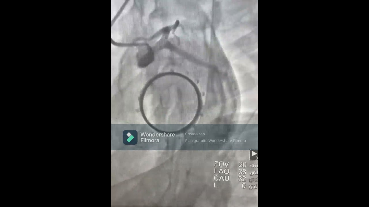 José González García-1