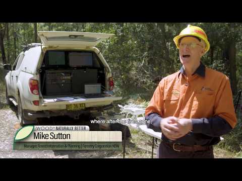 Drones. A New View of Fighting Forest Fires