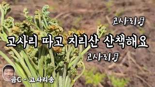 고사리의 시기 /고사리 따고 산행 / 고사리 삶고 말리기