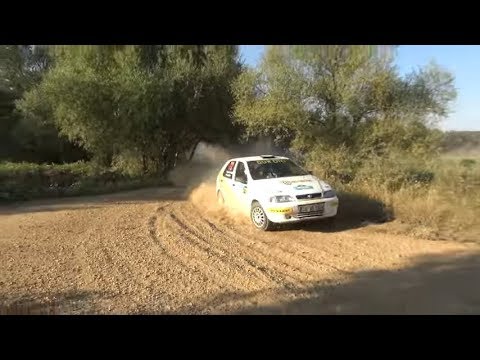 2017 Yeşil Bursa Rallisi / Mert Gür - Ege Can Ünlü / Fiat Palio