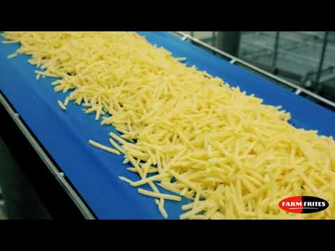 Farm Frites Factory Tour