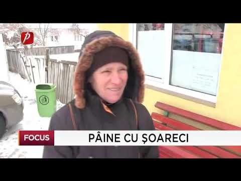 Şoarece în punga cu pâine