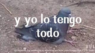 NO TENGO AMIGOS-Genitallica.