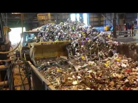 ARCHIE UNEMPLOYED - Why I was fired from my Waste Management Job