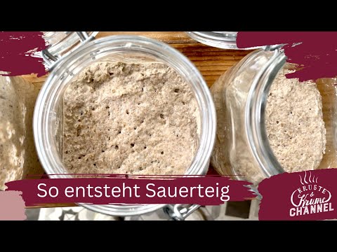 SAUERTEIG selber machen | Wie Sauerteig Anstellgut ganz einfach selber hergestellt wird