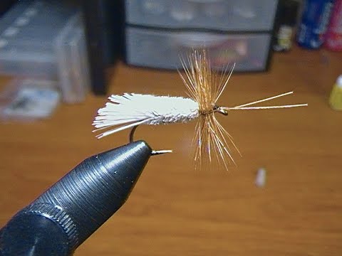 fly tying with hugh! tying a goddard caddis dry fly.
