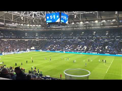 Konigsblauer S04, Schalke 04 : Hoffenheim 1899; ⚒