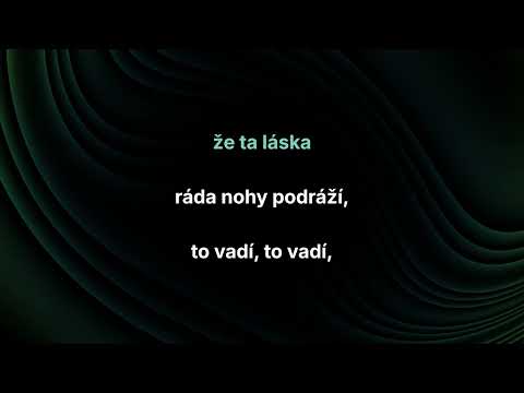 Petr Spálený – To vadí (karaoke)