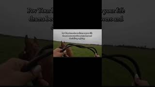 When your horse is your therapist