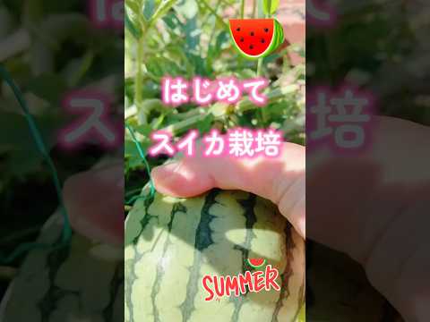 温室を設置する 認可パスの設置が必要である 作業の移動を容易にする