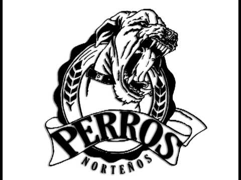 XPERTO-HATER ESTILO[PRODUCIDO POR EL PUTO COKE BEATS]