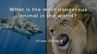 What is the most dangerous animal in the world?