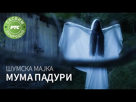 Sasvim prirodno: Šumska majka Muma Paduri (Jovan Memedović)