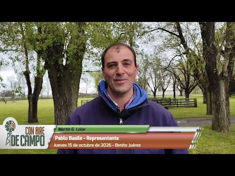 Pablo Basile - Remate de Martín G. Lalor - 15/10/2026 - Benito Juárez