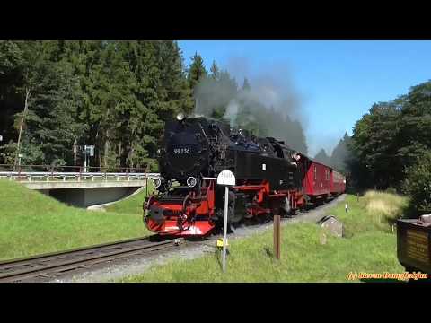 Harzer Wandernadel 2017 / Wandern rund um Drei Annen Hohne (23.08.2017)