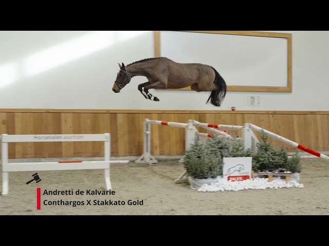 Andretti de Kalvarie