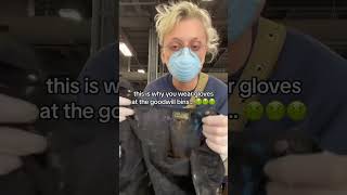 This is why you wear gloves at the goodwill bins 🤢 #biohazard #gross