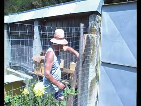 marcare regina albine 14 08 2010 dealu morii bacau