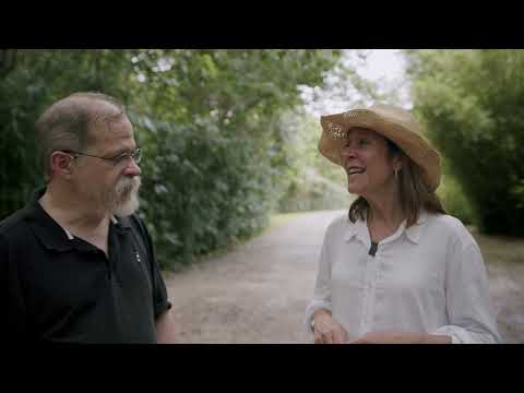 Jungle Gardens of Avery Island
