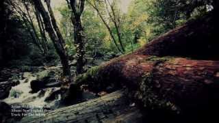 William Ackerman - For The Asking