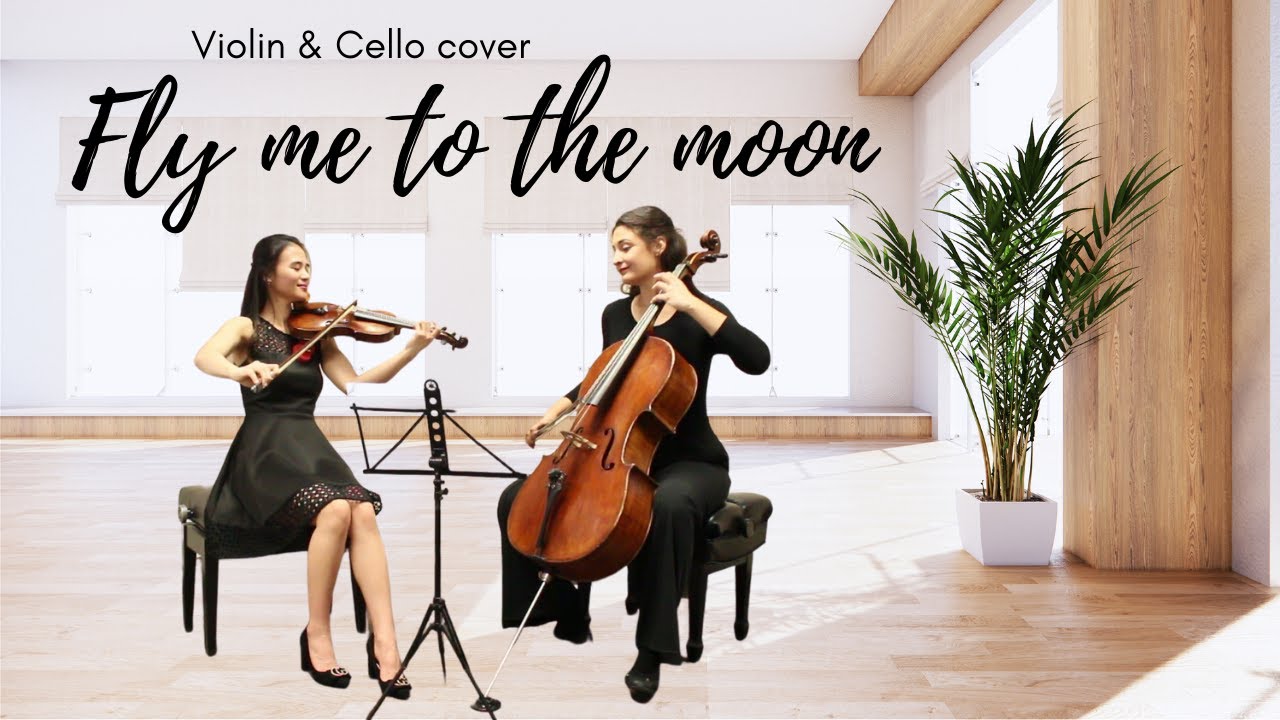 Promotional video thumbnail 2 for Wedding & Reception String Music