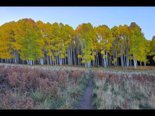 Judge.me YouTube video placeholder