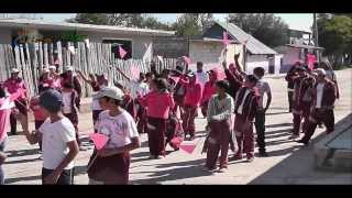 preview picture of video 'El Tepozan - Caminata de la lucha contra el cancer uterino y de mana'