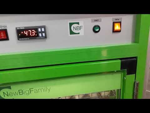 Инкубатор NBF 180 первые впечатления