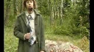 PLYSCH Hällristning