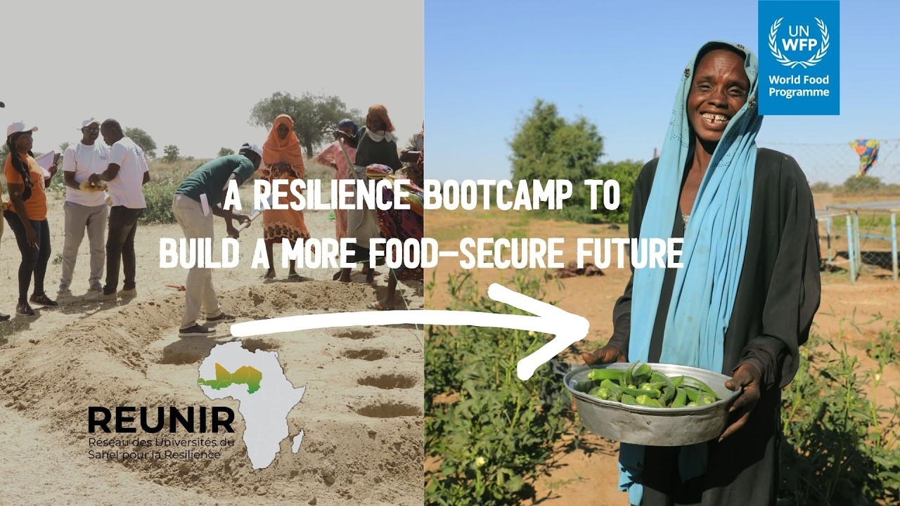Building Resilience in Chad: Inside the REUNIR Bootcamp for a Food-Secure Future