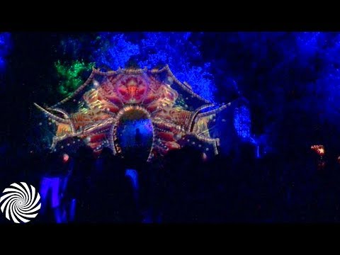 Electrypnose @ Origins Goa