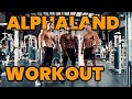 ALPHALAND ARM & SHOULDER WORKOUT | BUSINESS ADVICE