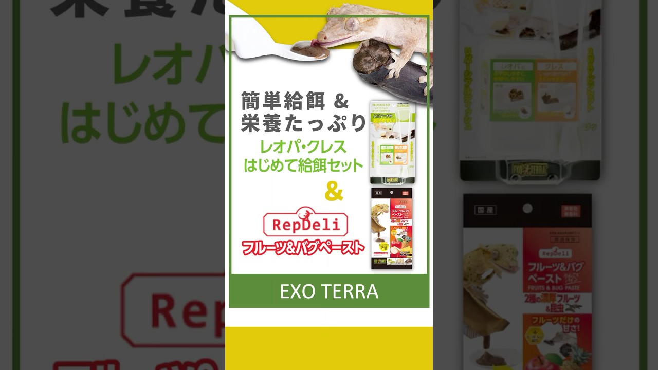 【クレス飼育者必見】便利な給餌セットと栄養たっぷりなクレス用ペーストフードのご紹介！